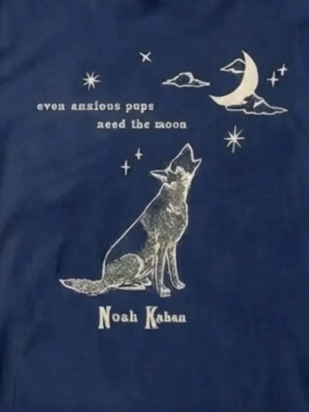 Gildan Navy 'The Great Divide Tour '26' Graphic Tee, NK music shirt